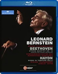 Bernstein - Conducts Beethoven / Haydn (Blu-Ray in der Gruppe MUSIK / Musik Blu-Ray / Klassiskt bei Bengans Skivbutik AB (2035477)