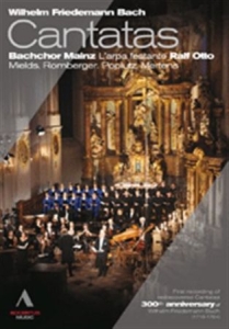 Wf Bach - Cantatas in der Gruppe DVD & BLU-RAY bei Bengans Skivbutik AB (2035629)