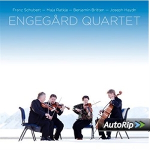 Various Composers - String Quartets Vol. 4 in der Gruppe MUSIK / Musik Blu-Ray / Klassiskt bei Bengans Skivbutik AB (2037247)