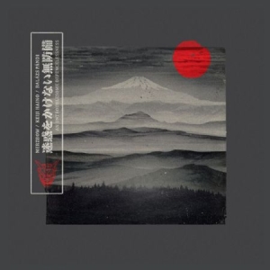 Merzbow Keiji Haino & Balazs Pandi - Untroublesome Defencelessness in der Gruppe CD bei Bengans Skivbutik AB (2038972)