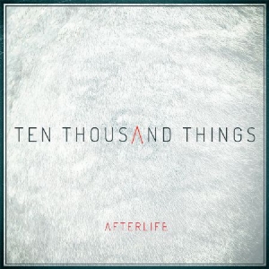 Afterlife - Ten Thousand Things in der Gruppe CD bei Bengans Skivbutik AB (2040084)