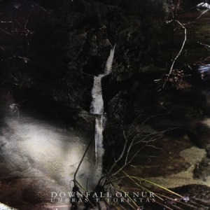 Downfall Of Nur - Umbras E Forestas in der Gruppe VINYL bei Bengans Skivbutik AB (2040136)
