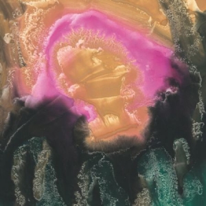 Elg - Mauve Zone in der Gruppe VINYL bei Bengans Skivbutik AB (2040141)