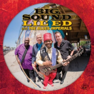 Lil Ed & The Blues Imperials - Big Sound Of Lil Ed & The Blues Imp in der Gruppe CD bei Bengans Skivbutik AB (2042391)