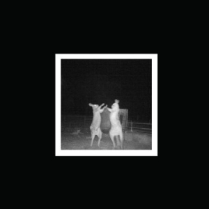 Old Mate - It Is What It Is in der Gruppe VINYL bei Bengans Skivbutik AB (2042575)