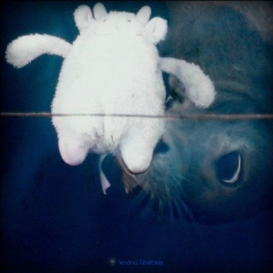 Various Artists - Tendres Tenebres in der Gruppe VINYL bei Bengans Skivbutik AB (2042576)