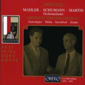 Mahler Gustav - Orchestral Songs in der Gruppe CD bei Bengans Skivbutik AB (2044117)