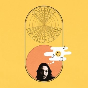 Drugdealer - The End Of Comedy in der Gruppe CD bei Bengans Skivbutik AB (2055547)