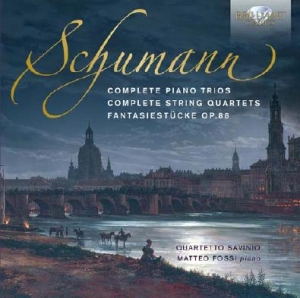Schumann Robert - Complete Piano Trios & String Quart in der Gruppe CD bei Bengans Skivbutik AB (2055656)
