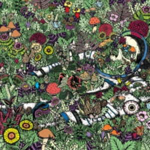 Oozing Wound - Whatever Forever in der Gruppe VINYL bei Bengans Skivbutik AB (2060758)