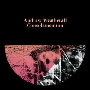 Weatherall Andrew - Consolamentum in der Gruppe CD bei Bengans Skivbutik AB (2060763)