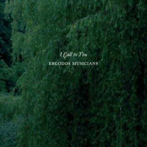 Ergodos Musicians - I Call To You in der Gruppe CD bei Bengans Skivbutik AB (2060790)
