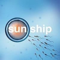 Brian Jonestown Massacre - Sun Ship The in der Gruppe VINYL bei Bengans Skivbutik AB (2060989)