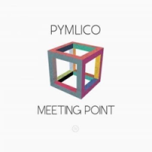 Pymlico - Meeting Point in der Gruppe CD bei Bengans Skivbutik AB (2061061)