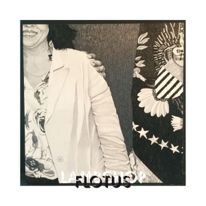 Lambchop - Flotus in der Gruppe VINYL bei Bengans Skivbutik AB (2062465)