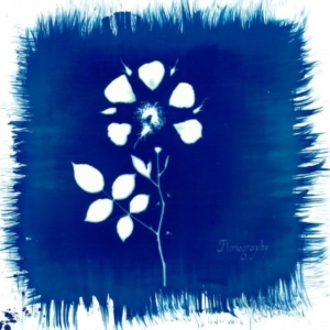 Painted Zeros - Floriography in der Gruppe VINYL bei Bengans Skivbutik AB (2062535)