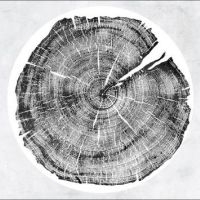 Montgomery Roy - M: Darkmotif Dancehall in der Gruppe VINYL bei Bengans Skivbutik AB (2069887)