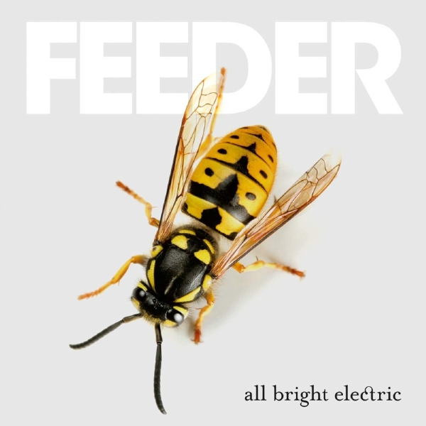 Feeder - All Bright Electric (Deluxe Edition in der Gruppe VINYL / Bestseller bei Bengans Skivbutik AB (2070749)