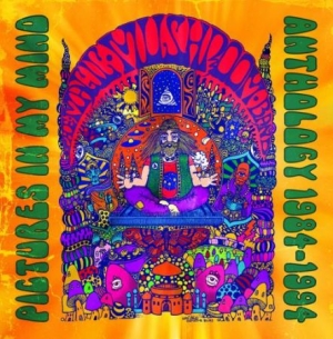 Magic Mushroom Band - Pictures In My Mind: Anthology 1984 in der Gruppe CD bei Bengans Skivbutik AB (2070808)