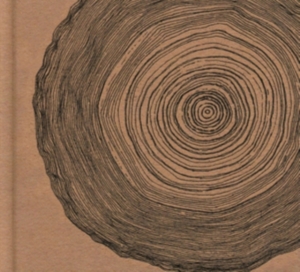 Ó - Year Of The Rabbit (Deluxe Cd in der Gruppe CD bei Bengans Skivbutik AB (2071565)