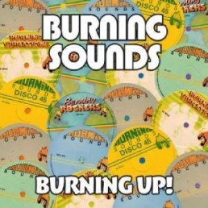 Various Artists - Burning Up! (4 Cd) in der Gruppe CD bei Bengans Skivbutik AB (2072460)