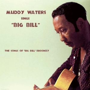 Waters Muddy - Sings Big Bill in der Gruppe CD bei Bengans Skivbutik AB (2074006)