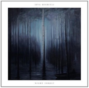 Beshevli Ilya - Night Forest in der Gruppe CD bei Bengans Skivbutik AB (2074166)