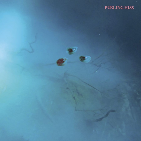 Purling Hiss - High Bias in der Gruppe VINYL / Bestseller bei Bengans Skivbutik AB (2084209)