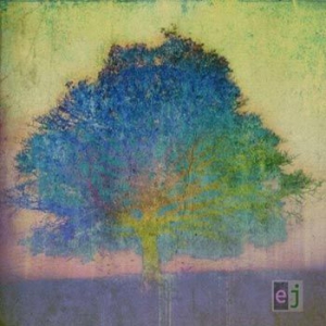 Johnson Eric - Ej in der Gruppe CD / Jazz,Pop-Rock bei Bengans Skivbutik AB (2097304)