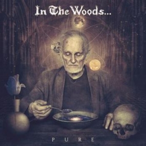 In The Woods - Pure (2 Lp) + Insert And Download C in der Gruppe VINYL bei Bengans Skivbutik AB (2097762)