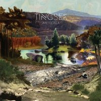 Tingsek - Amygdala (Vinyl) in der Gruppe Minishops / Tingsek bei Bengans Skivbutik AB (2098913)