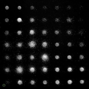 Rayon - A Beat Of Silence in der Gruppe CD bei Bengans Skivbutik AB (2099351)