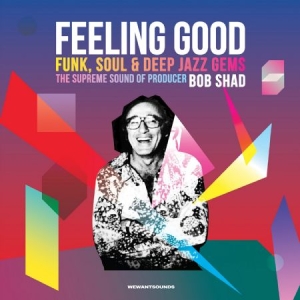 Various Artists - Feeling Good in der Gruppe CD bei Bengans Skivbutik AB (2099359)