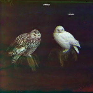 Dungen - Häxan in der Gruppe Minishops / Dungen bei Bengans Skivbutik AB (2101159)