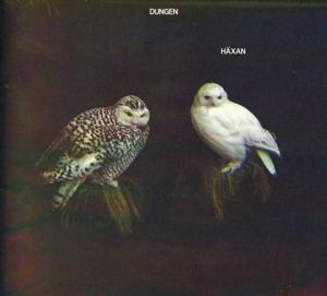 Dungen - Häxan in der Gruppe Minishops / Dungen bei Bengans Skivbutik AB (2101159)