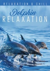 Relax: Dolphin Relaxation - Film in der Gruppe DVD & BLU-RAY bei Bengans Skivbutik AB (2101985)