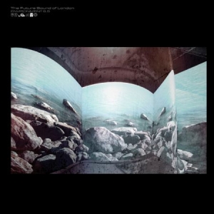 Future Sound Of London - Enviroment 6,5 in der Gruppe VINYL bei Bengans Skivbutik AB (2102037)