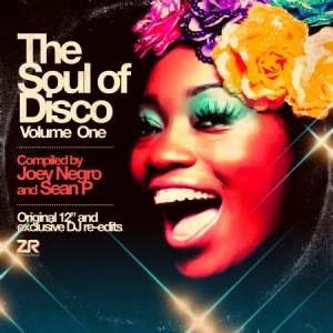 Various Artists - Soul Of Disco 1 in der Gruppe VINYL bei Bengans Skivbutik AB (2102044)