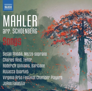 Virginia Arts Festival Players Joa - Songs in der Gruppe CD bei Bengans Skivbutik AB (2102459)