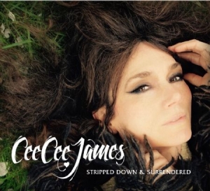 James Cee Cee - Stripped Down & Surrender in der Gruppe CD bei Bengans Skivbutik AB (2103224)