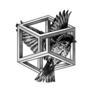 Bufi - Revelation in der Gruppe VINYL bei Bengans Skivbutik AB (2113187)