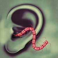 Thee Oh Sees - An Odd Entrances in der Gruppe VINYL / Pop-Rock bei Bengans Skivbutik AB (2116113)