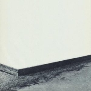 Willamette - Diminished Composition in der Gruppe VINYL bei Bengans Skivbutik AB (2116254)