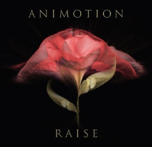 Animotion - Raise Your Expectations in der Gruppe VINYL bei Bengans Skivbutik AB (2168075)