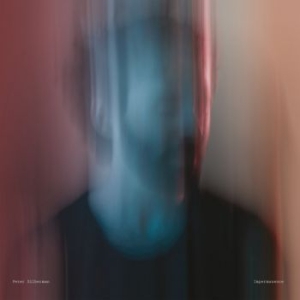 Silberman Peter - Impermanence in der Gruppe CD bei Bengans Skivbutik AB (2246009)