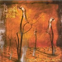 Nektar - Sounds Like This in der Gruppe CD bei Bengans Skivbutik AB (2248490)