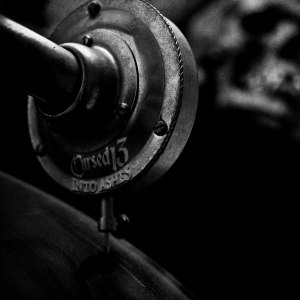 Cursed 13 - Into Ashes in der Gruppe VINYL bei Bengans Skivbutik AB (2249438)