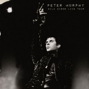 Murphy Peter - Wild Birds Live Tour in der Gruppe VINYL bei Bengans Skivbutik AB (2249681)