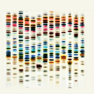 St 37 - I'm Not Good in der Gruppe CD bei Bengans Skivbutik AB (2250194)