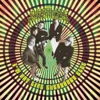 Hillage Steve - Madison Square Garden 1977 in der Gruppe VINYL bei Bengans Skivbutik AB (2250327)